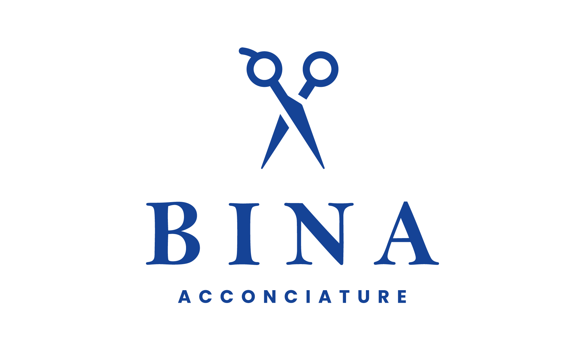 bina logo 1